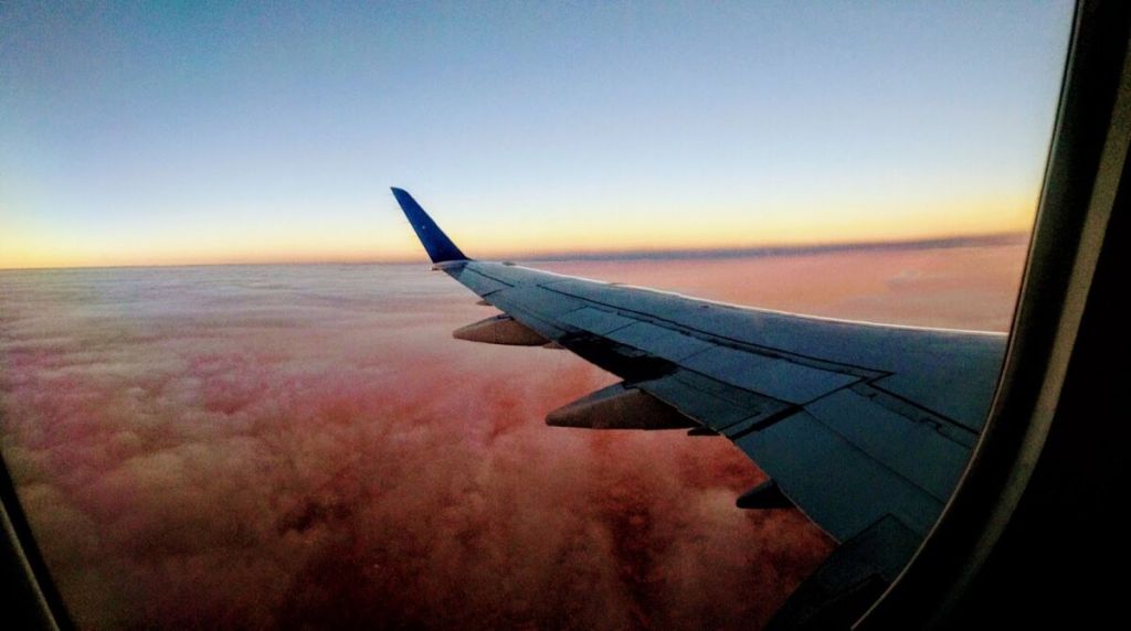 scale_1200 (15).jpg